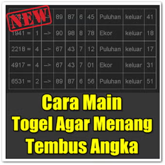 Cara Bermain Dasar pada Togel Online